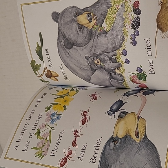 Set of 10 NEW Dr Seuss Bright and Early Books For Beginning Beginners - Picture 13 of 16